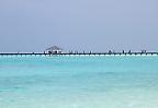 Touristen auf einem Bootssteg (Malediven)