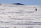 Eisige Weiten, Skiwanderer auf dem Weg zum Kebnekaise (Schweden)