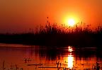 Sonnenuntergang im Okavangodelta (Botswana)