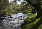 Bachtal in der Nähe von Ihlara, Kappadokien (Türkei)