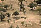 Wasserstelle im Dogonland nahe Ennde (Mali)