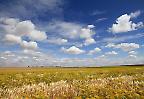 Landwirtschaftliche Nutzfläche südlich von Casablanca (Marokko)