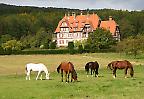 Villa auf dem Lande bei Niederbron, Elsass (Frankreich)