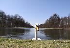 Schwan im Park von Schloss Nymphenburg, Bayern (Deutschland)