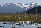 Landschaft in der Nähe von Portage, Alaska (USA)