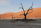 Abgestorbener Baum im Deadvlei, Namib-Naukluft-Nationalpark (Namibia)