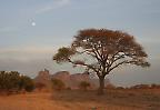 Vollmond über dem Felsmassiv von Hombori (Mali)