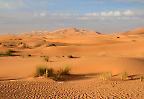 Sanddünen in der Morgensonne im Erg Chebbi, Sahara (Marokko)