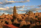 Buschlandschaft im Abendlicht  am Lasseter Highway nahe Mount Conner, Northern Territory (Australien)