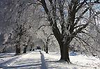 Winterliche Landschaft auf der Schwäbischen Alb, Baden-Württemberg (Deutschland)