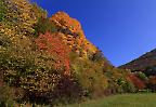 Herbstwald auf der Schwäbischen Alb (Deutschland)