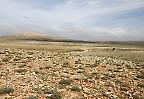 Einsame Hochebene im Mittleren Atlas südlich von Azrou (Marokko)