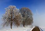 Winterlandschaft mit Windkraftanlage bei Suppingen auf der Schwäbischen Alb (Deutschland)