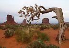 Unwirkliche Kulisse im Monument Valley, Arizona (USA)