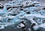 Eisschollen im Jökulsárlón, Südküste (Island)