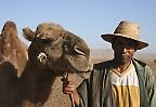 Hirte mit Dromedar im Hohen Atlas