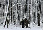 Waldweg bei Donnstetten am Römerstein, Schwäbische Alb (Deutschland)