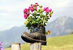 Wanderschuh mit Blumenschmuck