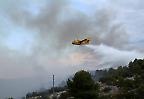 Löschflieger bei einem Buschbrand nahe Primosten (Kroatien)