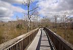 Holzpfad im Big Cypress National Preserve, Everglades, Florida (USA)