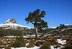 Cradle Mountain-Lake St Clair National Park, blauer Himmel über dem Barn Bluff - 1559m - Tasmanien (Australien)