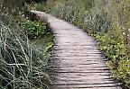 Holzsteg im Nationalpark Plitvicer Seen (Kroatien)