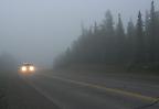 Straße im Morgennebel im Denali Nationalpark, Alaska (USA)