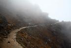 Weg von Laurebina nach Gosainkund, Himalaya (Nepal)