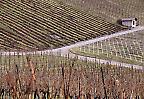 Weinbergwege bei Diefenbach im Stromberg, Baden-Württemberg (Deutschland)