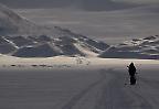 Einsamer Skiwanderer auf Spitzbergen (Norwegen)