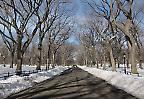 Weg im verschneiten Central Park, New York City (USA)