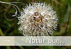 Natur pur